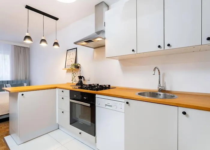 Lily Wola 15 Min To Rondo Daszynskiego * Warsaw